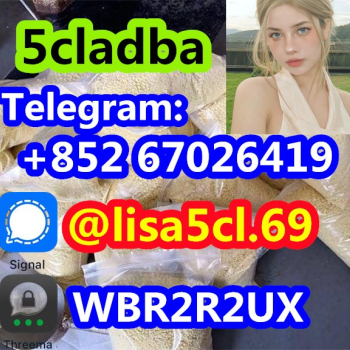 Ogłoszenie - 5cladba Adbb Synthetic Method 5cladba Adbb 5fadb