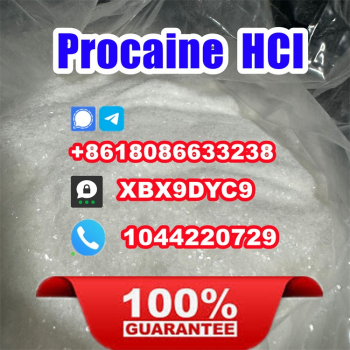 Ogłoszenie - Factory stock Procain Proca Procaine hcl crystal powder Procaine hydrochloride - 10,00 zł