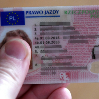 Ogłoszenie - Legalne prawo jazdy do kupienia - Bydgoszcz - 971,00 zł