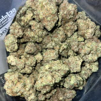 Ogłoszenie - Gorilla Skittlez 27% THC! #weed #marihuana - Wrocław - 1,00 zł