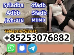 Ogłoszenie - 5cladba Adbb 4fadb Mdmb2201 5cl sgt jwh018 - 5,00 zł