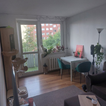 Ogłoszenie - 2pok, 41met, okolice Paprotnej BALKON/PIWNICA/WINDA (Wrocław) - Dolnośląskie - 519 000,00 zł