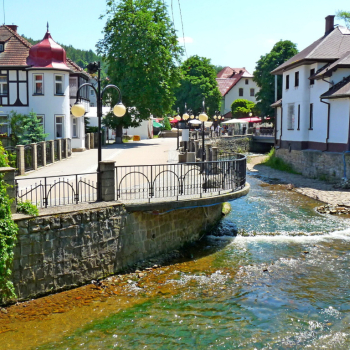 Ogłoszenie - Działka (6000 m2) Polanica-Zdrój - 590 000,00 zł