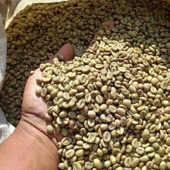 Ogłoszenie - Green Coffee beans (Arabica Coffee) Grade: AA, A, and AB +27719755564 - 6 678,00 zł