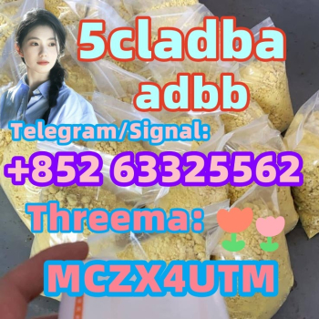 Ogłoszenie - Best quality 5cladba 5f 5cl yellow powder