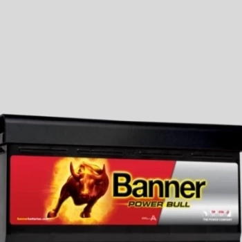Ogłoszenie - Akumulator 95Ah 780A 12V Banner - DARMOWY DOWÓZ I WYMIANA - Śląskie - 490,00 zł