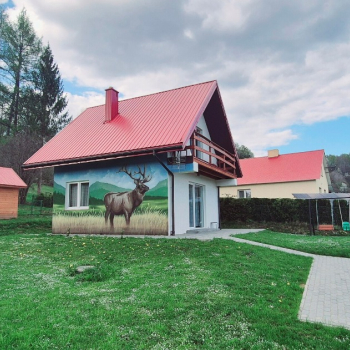 Ogłoszenie - Domek Bieszczady do wynajęcia - 300,00 zł