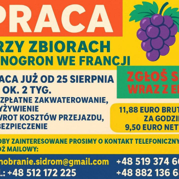 Ogłoszenie - WINOBRANIE FRANCJA