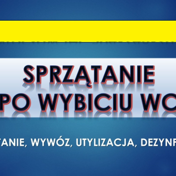 Ogłoszenie - Usługi sprzątania po fekaliach, tel. 504-746-203, odchody z wybicia i zalania kanalizacją mieszkania