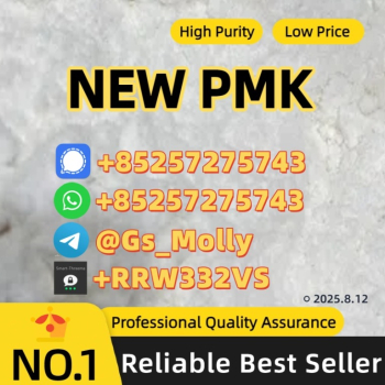 Ogłoszenie - High-Quality P M K Glycidate 28578-16-7 Wholesale & Bulk Orders Available