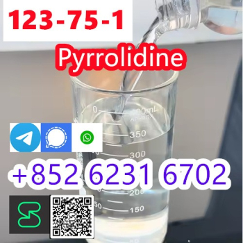 Ogłoszenie - legit Supplier Pyrrolidine N Methyl Pyrrolidine CAS 123-75-1 for Medical Use