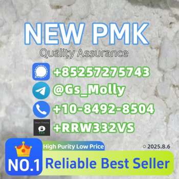 Ogłoszenie - P M K Methyl Glycidate Powder CAS 28578-16-7 | 99.5%+ Purity | Bulk Supply