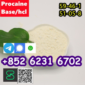 Ogłoszenie - selling Procaine base CAS 59-46-1 /51-05-8 / procaine hcl and base sale Holland