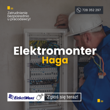 Ogłoszenie - Elektromonter (przemysłówka) - Haga, Holandia