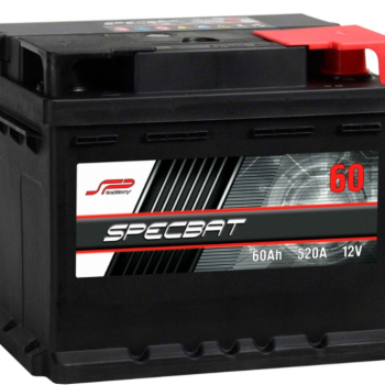 Ogłoszenie - Akumulator 60Ah 520A 12V SPECBAT Chopina 1 DARMOWA DOSTAWA - Płock - 239,00 zł