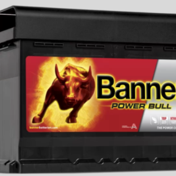 Ogłoszenie - Akumulator 62Ah 550A 12V Banner P6219 PŁOCK CHOPINA 1 DARMOWA DOSTAWA - Płock - 340,00 zł