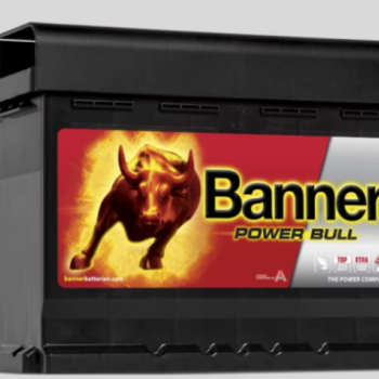 Ogłoszenie - Akumulator 60Ah 540A 12V Banner P6009 PŁOCK CHOPINA 1DARMOWA DOSTAWA - Płock - 310,00 zł