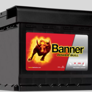 Ogłoszenie - Akumulator 50Ah 450A Banner P5003 DARMOWA DOSTAWA - Płock - 269,00 zł