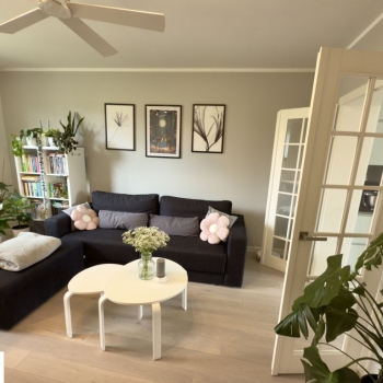Ogłoszenie - 4pok, 80met, Okolice Okrzei BALKON/2PIWNICE/OGRÓD (Wrocław)