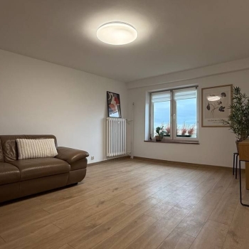 Ogłoszenie - 2pok, 47met, Okolice Placu Legionów PIWNICA/PARKING (Wrocław)