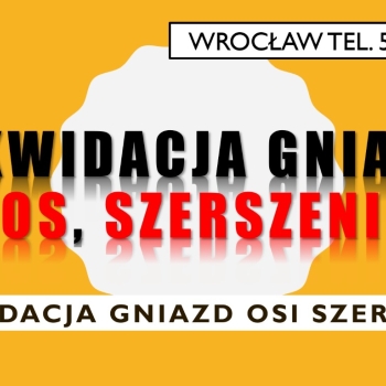 Ogłoszenie - Usunięcie os, gniazda, szerszeni z dachu, działki, ogrodu, tel. 504-746-203, Wrocław - Wrocław