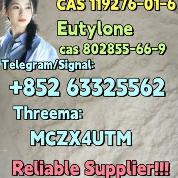 Ogłoszenie - Protonizine hydrochloride cas:119276-01-6 Good effect