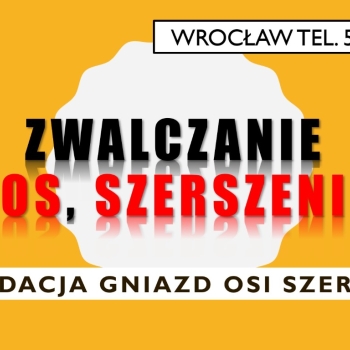 Ogłoszenie - Zwalczanie gniazd szerszeni, os cennik, tel. 504-746-203, Wrocław, działka, dom, strych altana - Wrocław