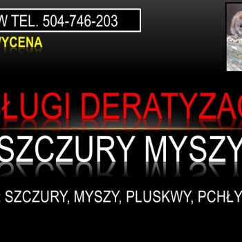 Ogłoszenie - Firma zwalczająca szczury w piwnicy, domy. tel. 504-746-203, Wrocław, cena - Dolnośląskie