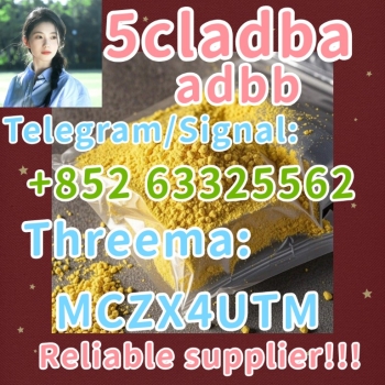 Ogłoszenie - Best quality 5cladba 5f 5cl yellow powder 5cl-adb-a fast shipping 5CLADBA  in stock
