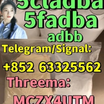 Ogłoszenie - Provide 5cladba ADBB 5cladba sample test