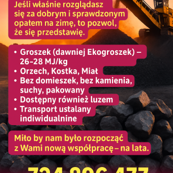 Ogłoszenie - Wegiel Orzech Kostka Groszek