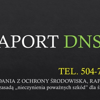 Ogłoszenie - Sprawozdanie DNSH, tel. 504-746-203,  raport „nie czyń znaczącej szkody”, cena - Dolnośląskie