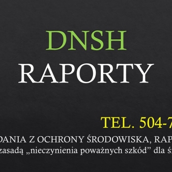Ogłoszenie - Raport DNSH dla projektu, tel. 504-746-203,  cena, zasada DNSH, ochrona środowiska - Dolnośląskie
