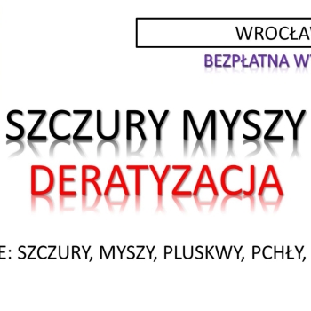 Ogłoszenie - Zwalczanie szczurów, gryzoni, deratyzacja i dezynfekcja, tel. 504-746-203, Wrocław, cennik - Dolnośląskie