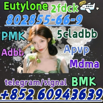 Ogłoszenie - eutylone,mdma,2fdck,cas:802855-66-9, Delivery guaranteed(+852 60943639)