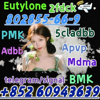 Ogłoszenie - eutylone,mdma,2fdck,cas:802855-66-9,99% purity(+852 60943639)