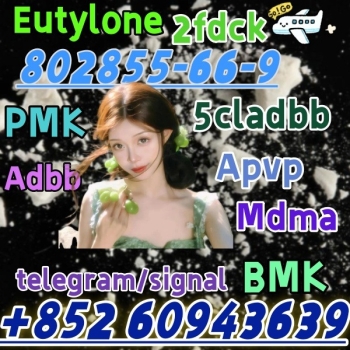 Ogłoszenie - eutylone,mdma,2fdck,cas:802855-66-9, Delivery guaranteed(+852 60943639)