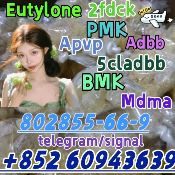 Ogłoszenie - eutylone,mdma,2fdck,cas:802855-66-9,Sufficient supply(+852 60943639)