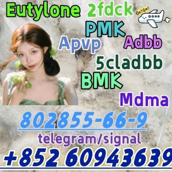 Ogłoszenie - eutylone,mdma,2fdck,cas:802855-66-9,99% purity(+852 60943639)