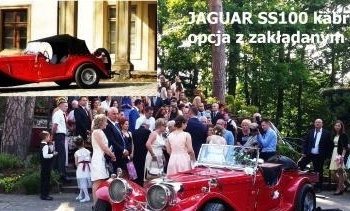 Ogłoszenie - Rzeszów dębica sanok krosno przemyśl tarnobrzeg mielec - Podkarpackie