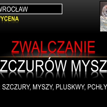 Ogłoszenie - Odszczurzanie, domu, budynku, Wrocław, tel. 504-746-203, cena, deratyzacja