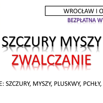 Ogłoszenie - Likwidacja szczurów, budynku, tel. 504-746-203, wytrucie gryzoni, myszy, Wrocław, cennik - Wrocław
