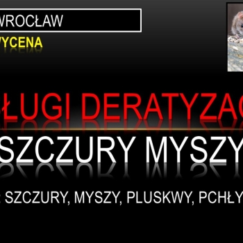 Ogłoszenie - Deratyzacja na szczury, tel. 504-746-203, Wrocław, cennik, zwalczanie - Wrocław