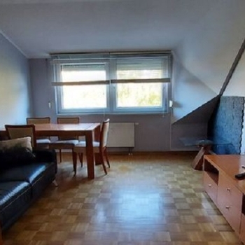 Ogłoszenie - 2pok, 42met, Okolice Parafialnej PIWNICA/PARKING (Wrocław)