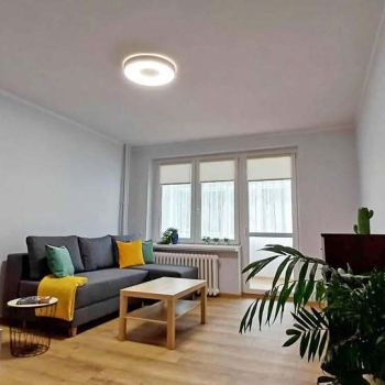 Ogłoszenie - 1pok, 30met, okolice Sienkiewicza PO REMONCIE (Wrocław)