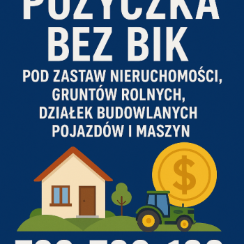 Ogłoszenie - Pożyczka bez BIK pod zabezpieczenie