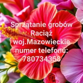 Ogłoszenie - Raciąż woj.Mazowieckie