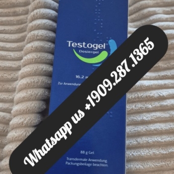 Ogłoszenie - Buy Testogel For Low Testosterone Online