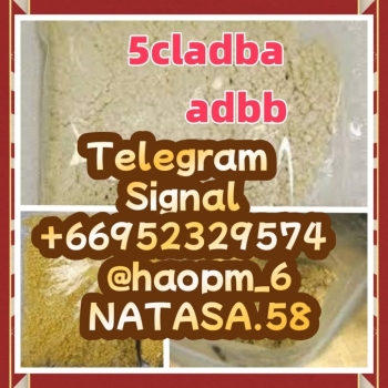 Ogłoszenie - 5cladba raw material 5CL-ADB-A precursor raw 5cladba 5f adb