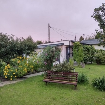 Ogłoszenie - Działka ROD z domkiem 2025 – Aleksandrów Kujawski